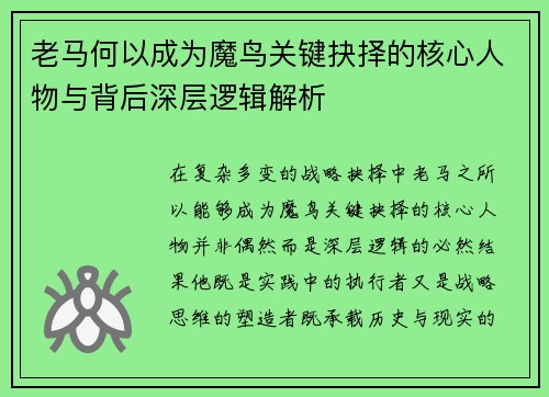 老马何以成为魔鸟关键抉择的核心人物与背后深层逻辑解析