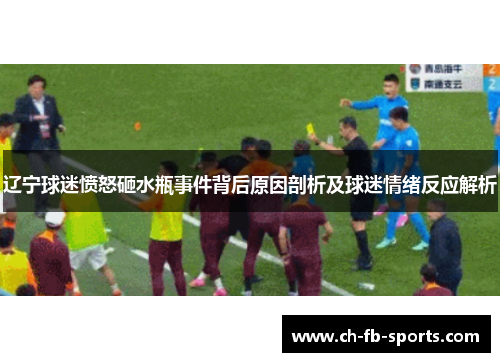 辽宁球迷愤怒砸水瓶事件背后原因剖析及球迷情绪反应解析