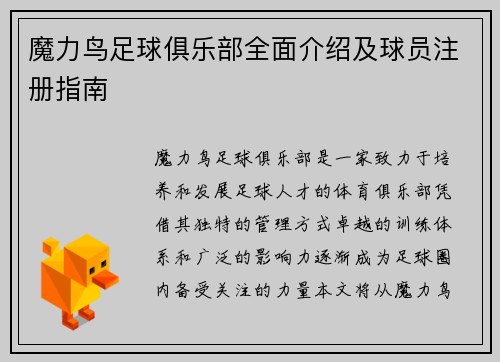 魔力鸟足球俱乐部全面介绍及球员注册指南