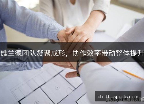 维兰德团队凝聚成形,协作效率带动整体提升 维兰德团队凝聚成形,协作效率带动整体提升